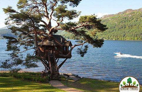 Loch Goil Tree house