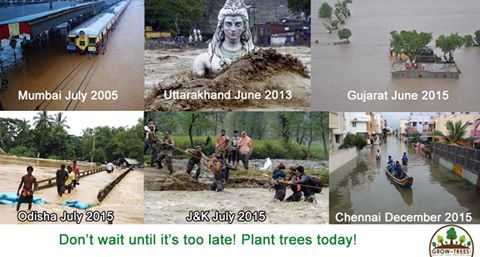 Trees Prevent Floods