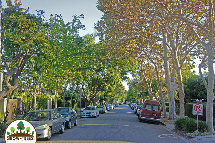 West Hollywood Side Street in Hollywood California. Image via Roger