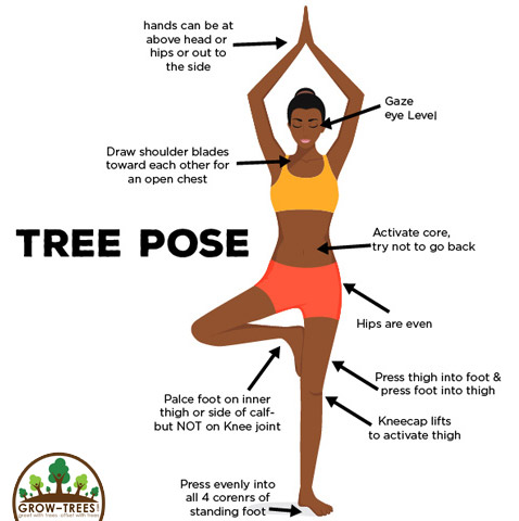 Tree Pose