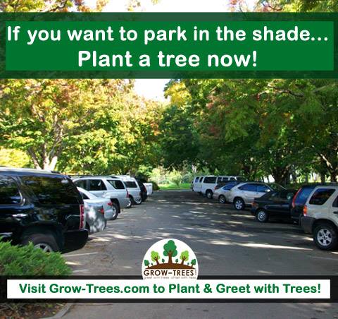 Benefits of Planting Trees for Shade!