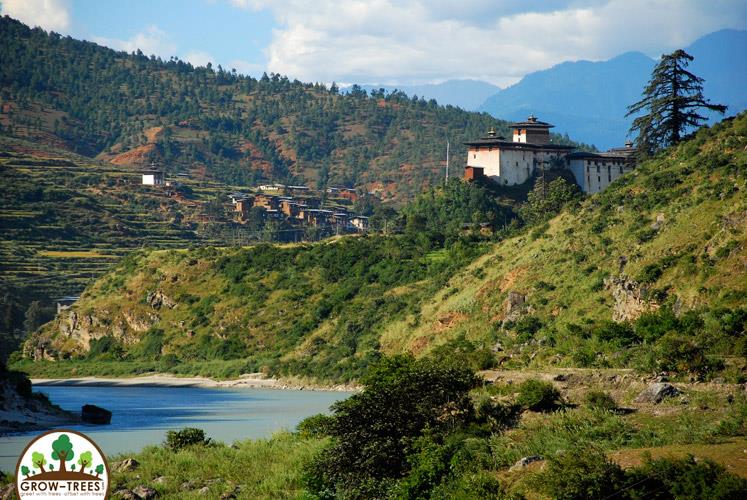 Bhutan isn't just Carbon Neutral, it is Carbon Negative!