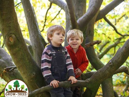 Forest Kindergarten