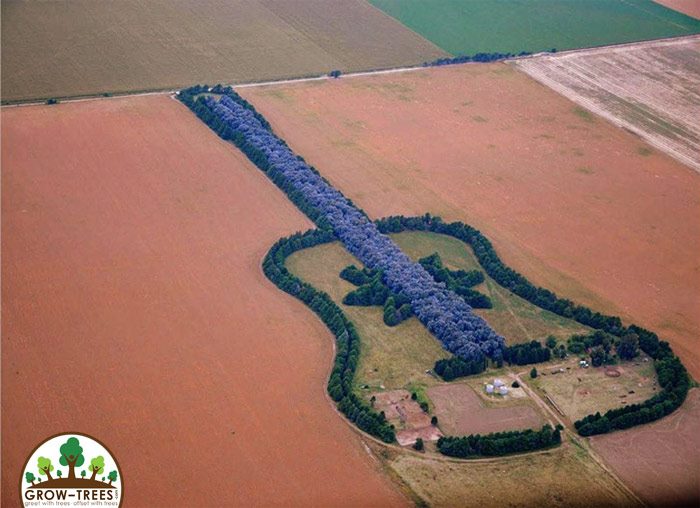Guitar-shaped forest