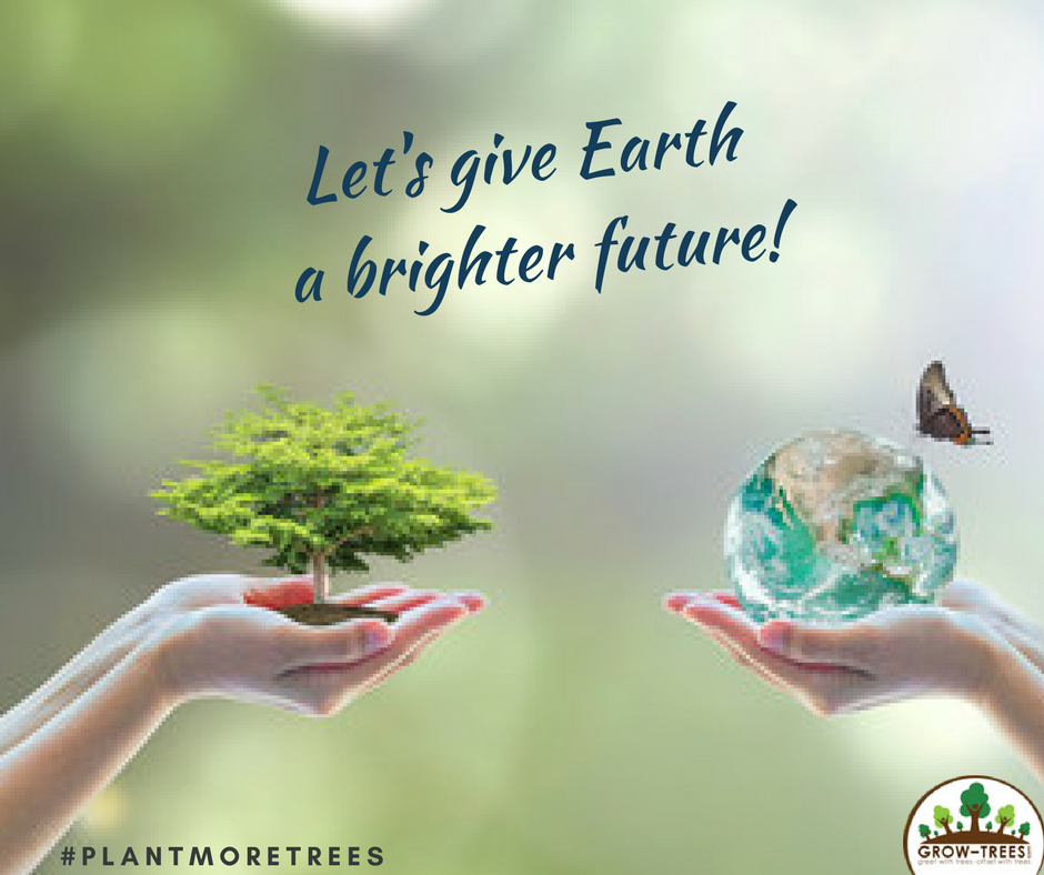 PLANT A TREE WITH A CLICK OF A BUTTON THIS EARTH DAY GrowTrees Blog