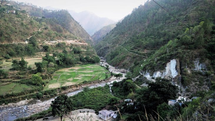 Van Panchayats To The Rescue: Uttarakhand's Unique System Of Forest ...