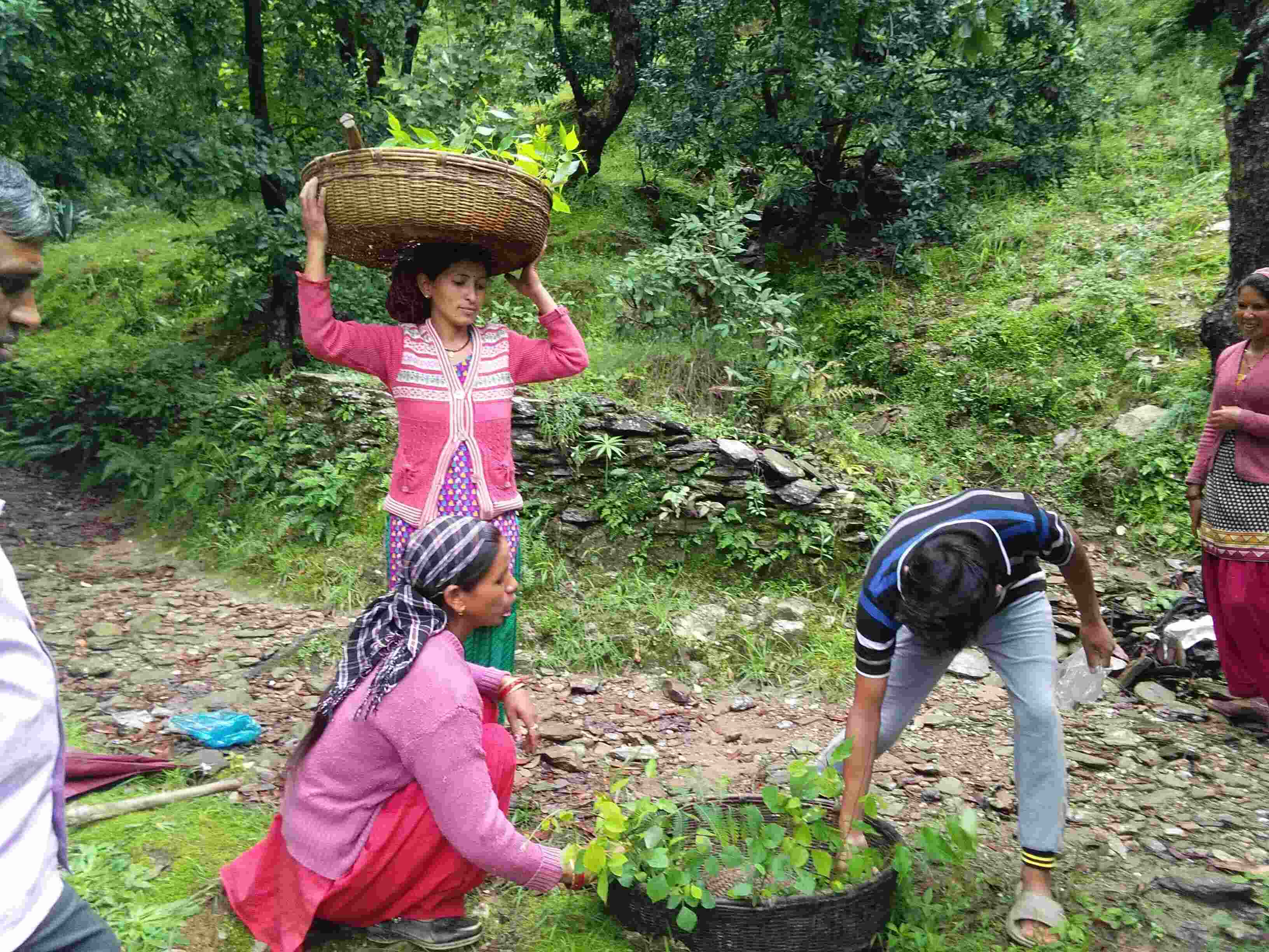 the-role-of-local-communities-in-conservation-grow-trees-blog