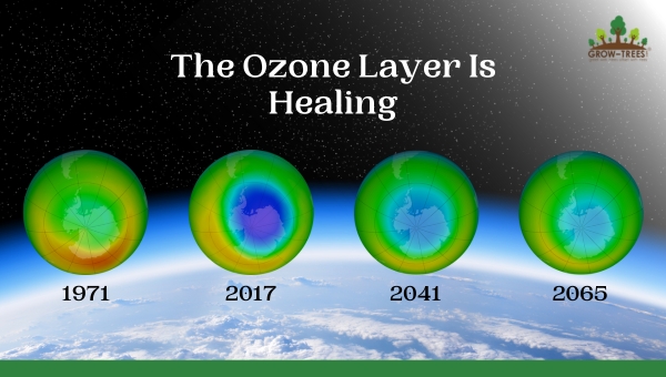 The Ozone Layer Is Healing