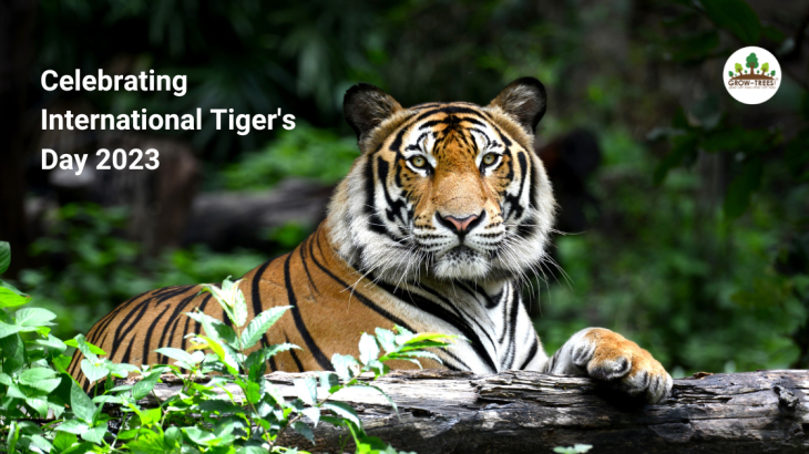 conserve tigers- Celebrating International Tiger's Day