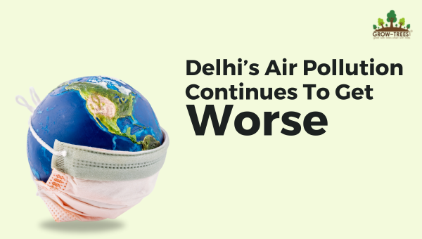 Delhi's Air Pollution Continues To Get Worse