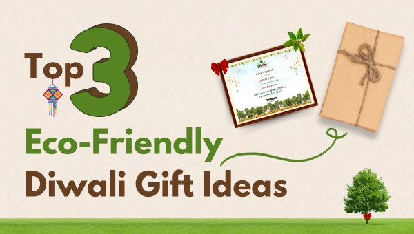 Top 3 Eco-Friendly Diwali Gift Ideas