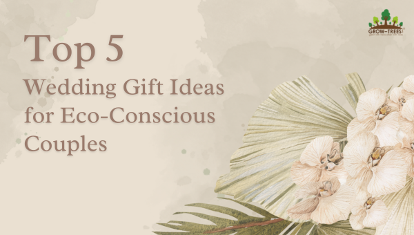 Top 5 Wedding Gift Ideas for Eco-Conscious Couples