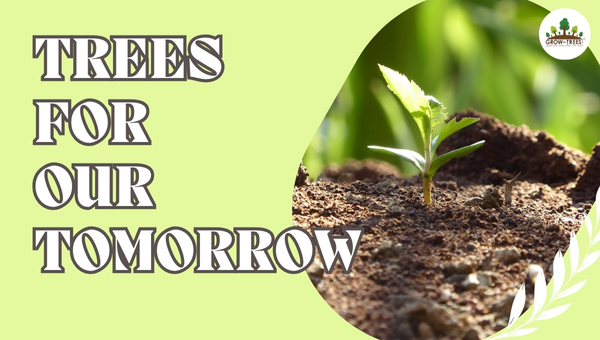 Grow-Trees.com Trees for our tomorrow