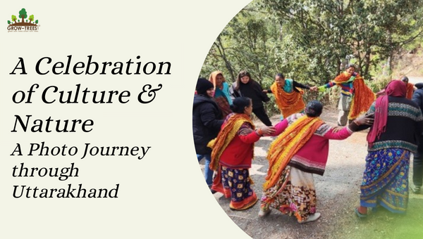 A Celebration of Culture & Nature: A Photo Journey through Uttarakhand - A Grow-Trees Blog