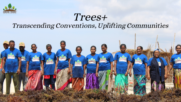 Trees+ : Transcending Conventions, Uplifting Communities