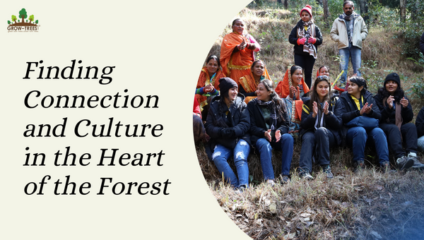 Finding Connection and Culture in the Heart of the Forest - A Grow-Trees Blog